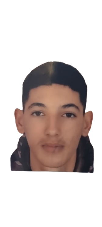 MOHAMED BOUSNINA